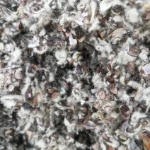 高粱壳麸皮棉籽壳玉米芯颗粒棉粕棉皮棉子皮压缩包