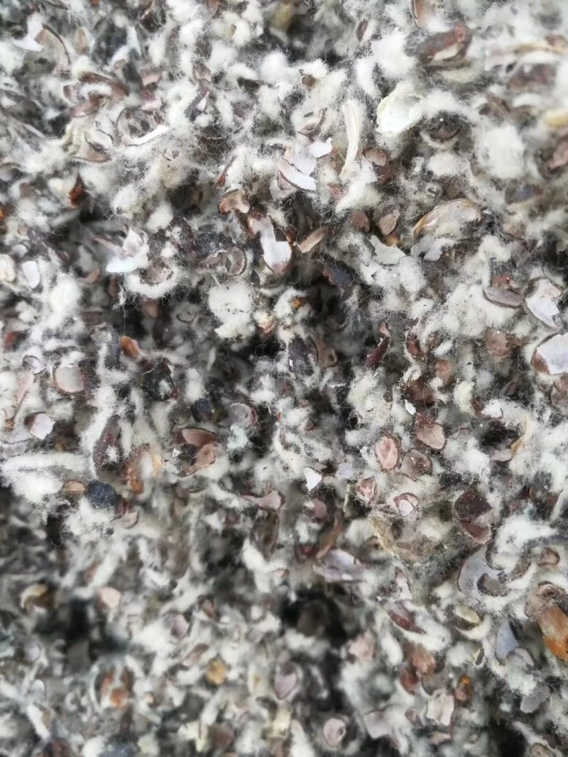 棉籽壳棉籽皮，磨盘棉籽壳，含棉仁棉粉棉籽壳，棉渣棉粕