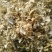 玉米芯棉籽壳棉渣麸麦秆稻草玉米秸秆豆秆花生秸秆玉米芯颗粒