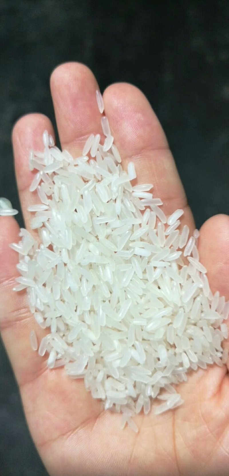 新稻，陈稻