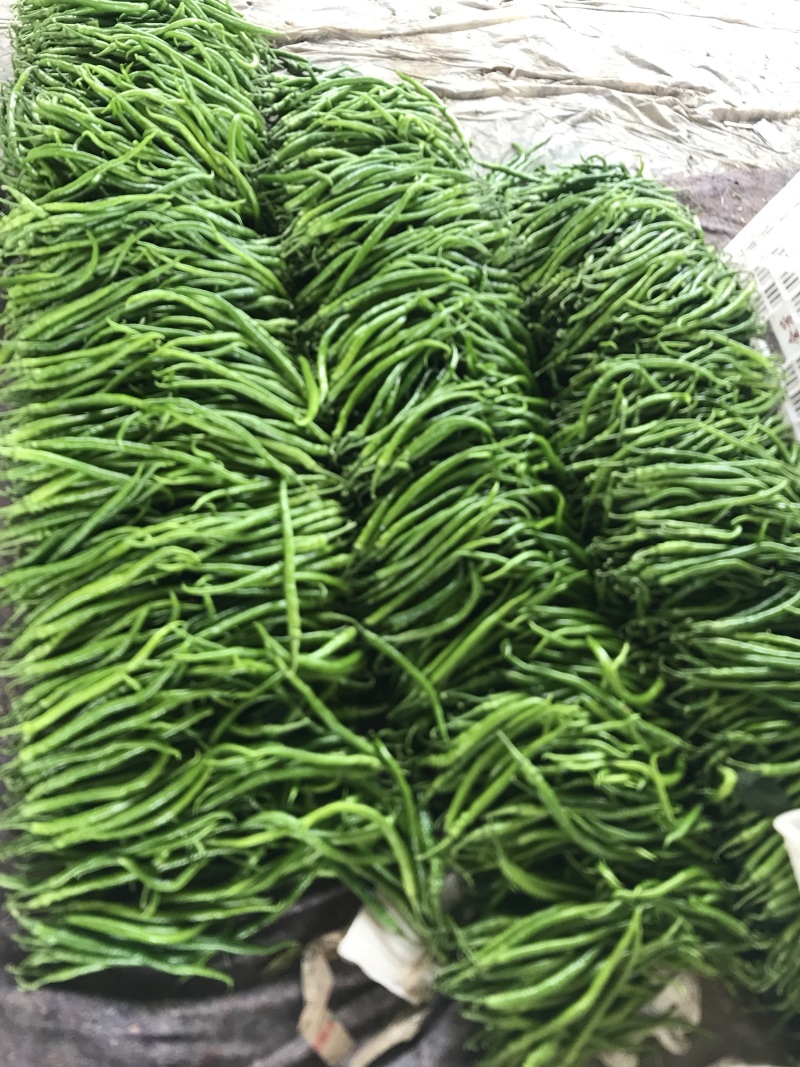 【推荐】精品线椒河南辣椒量大价优一手货源欢迎