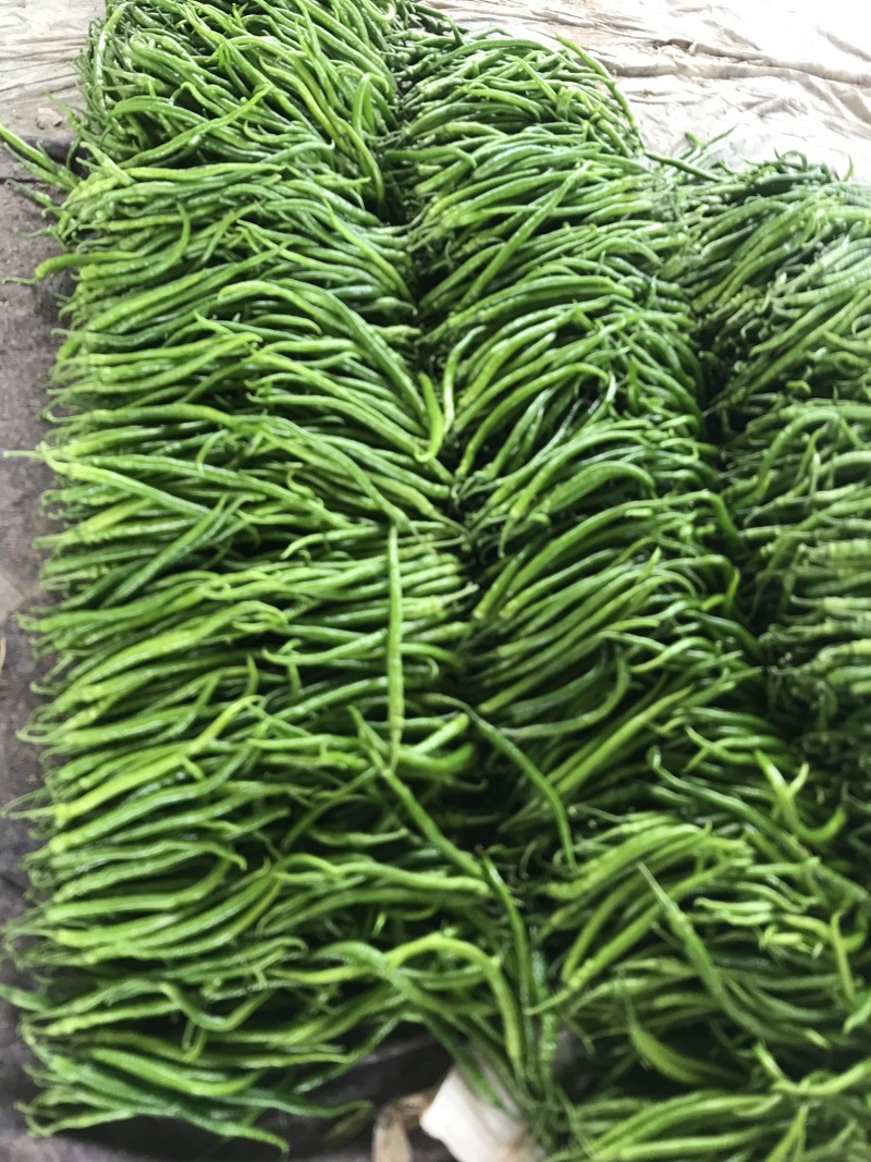 【推荐】精品线椒河南辣椒量大价优一手货源欢迎