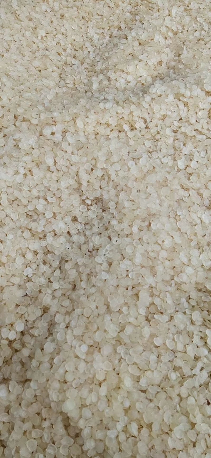 皂角米