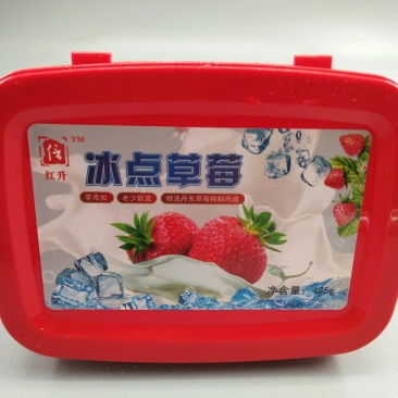 丹东冰点牛奶草莓，草莓罐头冰冻草莓招代理