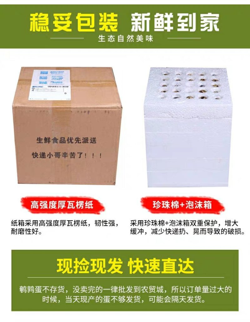 一手货源105枚鸟一件也发货鹌鹑蛋安纯俺鹑专用装保证新鲜