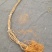 猕猴桃苗猕猴桃品种齐全价格合理