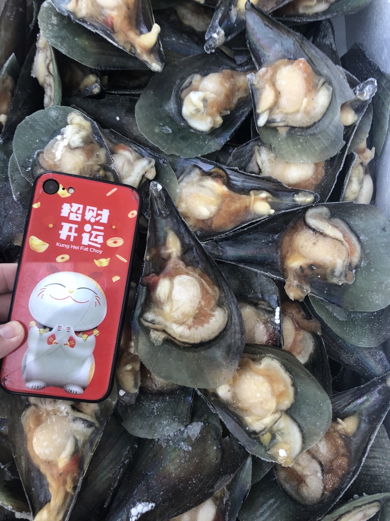 半壳江瑶贝15斤一件货好价格实惠