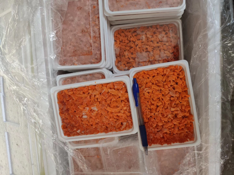 海胆肉漂烫后200壳一盒