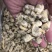 干冰花蛤肉无沙同时还有其他规格