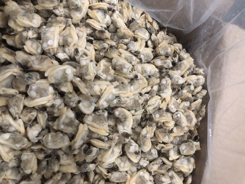 干冰花蛤肉无沙同时还有其他规格