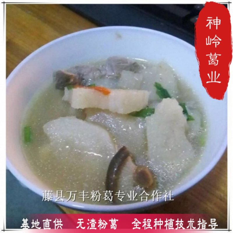 葛根葛根种苗二代苗粉质更高更无渣