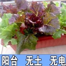 家庭阳台管道水管种菜无土栽培设备水培蔬菜水培管道种植架水
