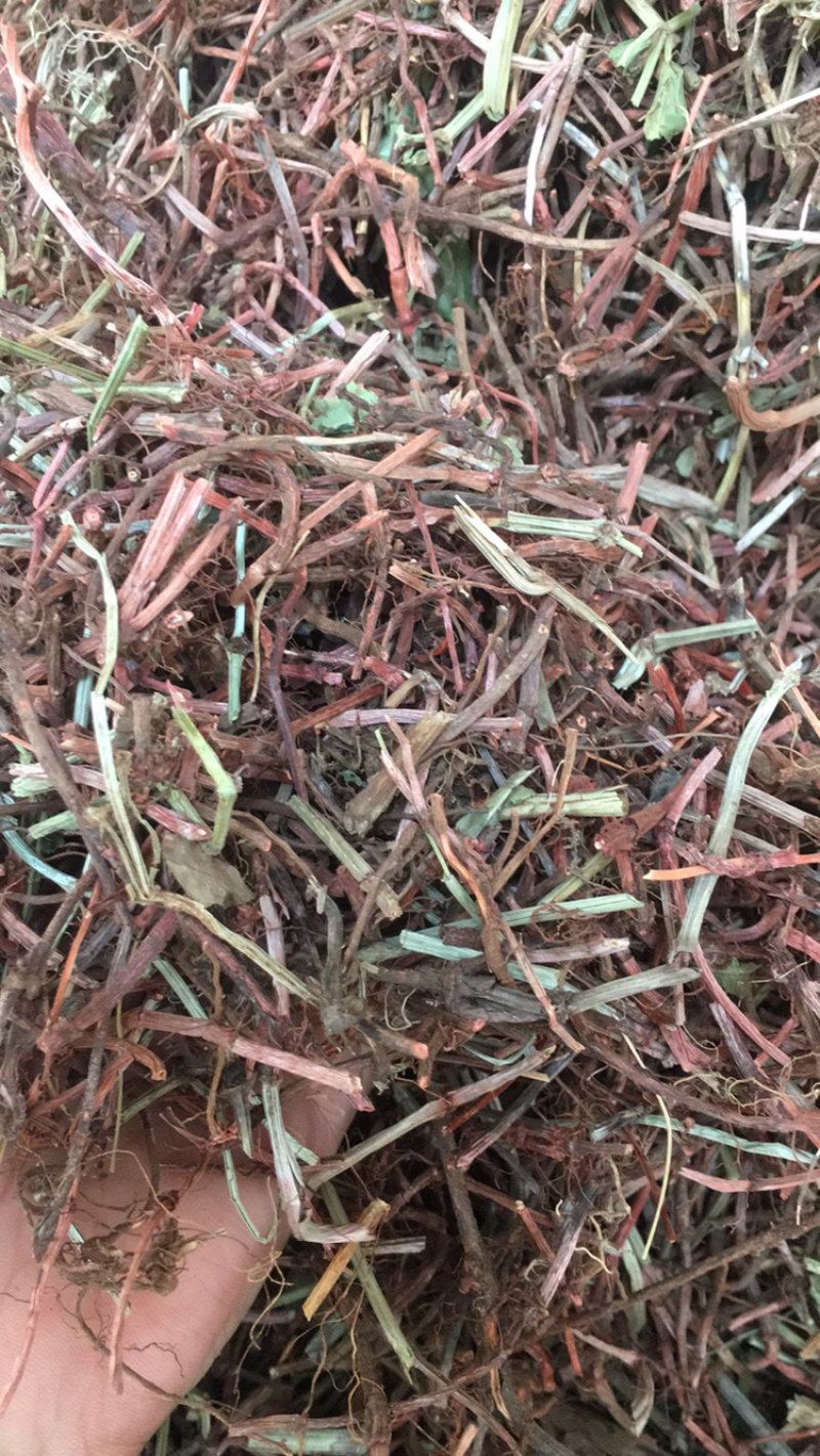 茜草根茜草茜草无硫量大包邮