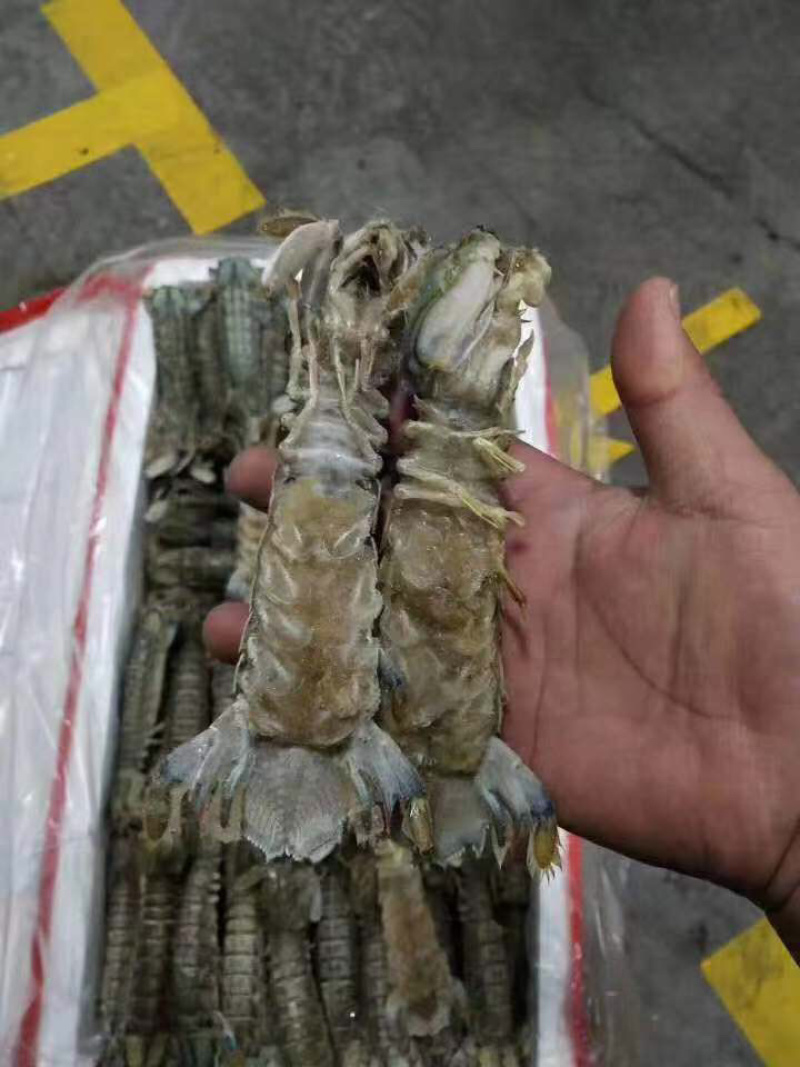 生冻皮皮虾单冻个头大保证肥
