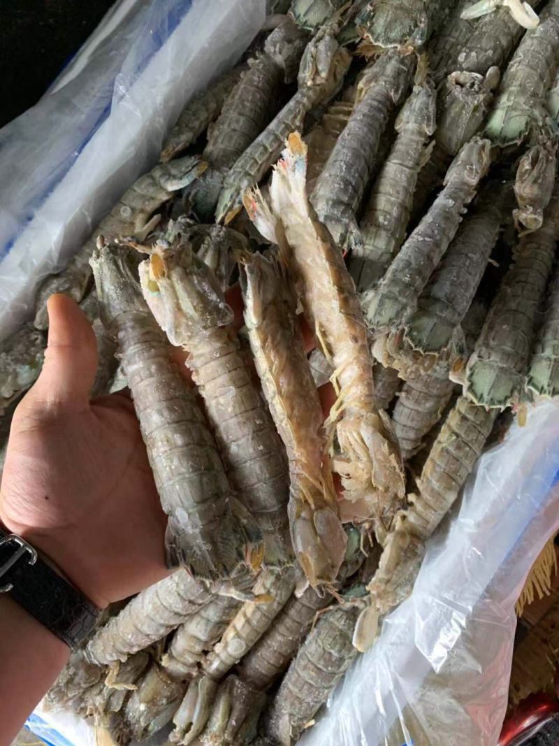生冻皮皮虾单冻个头大保证肥