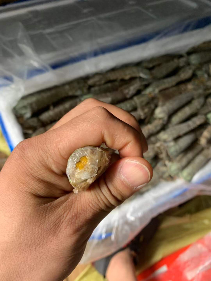 生冻皮皮虾单冻个头大保证肥