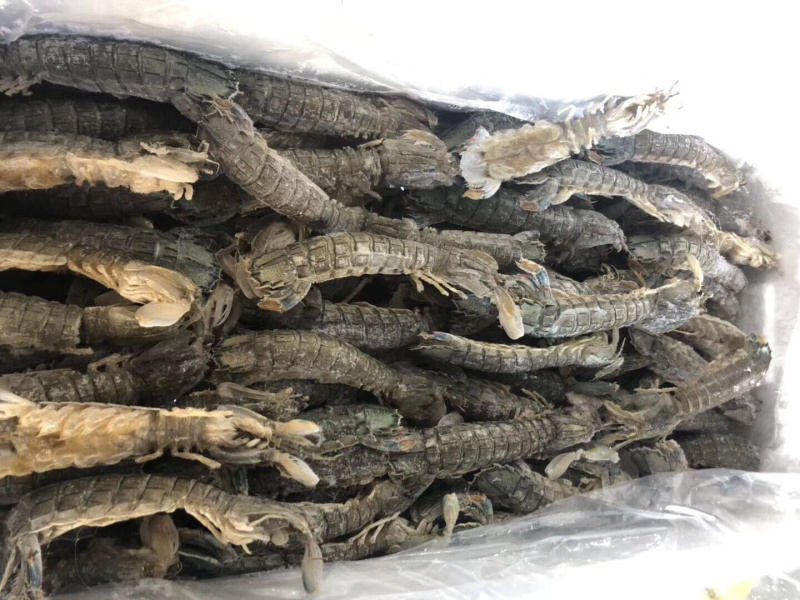 生冻皮皮虾单冻个头大保证肥