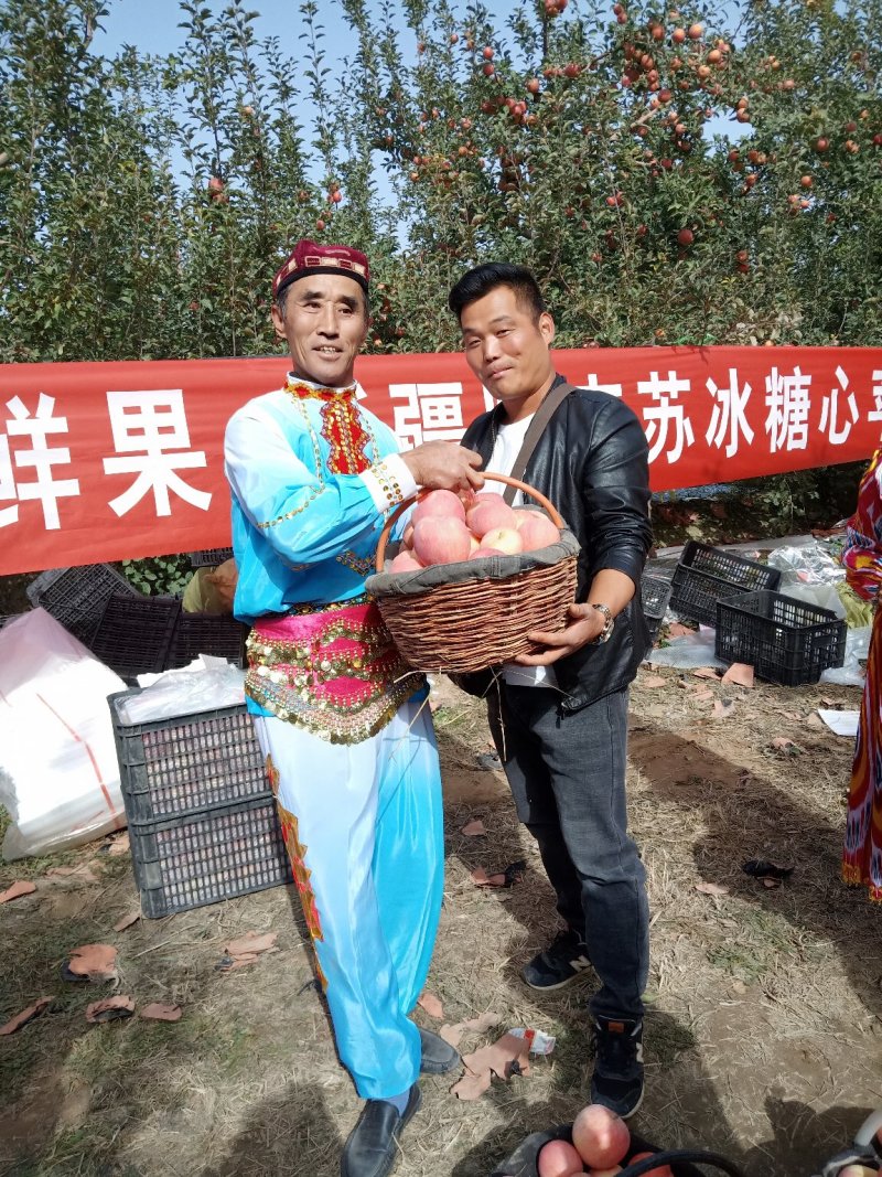 阿克苏冰糖心苹果专业代办整车代发2022年最新报价，