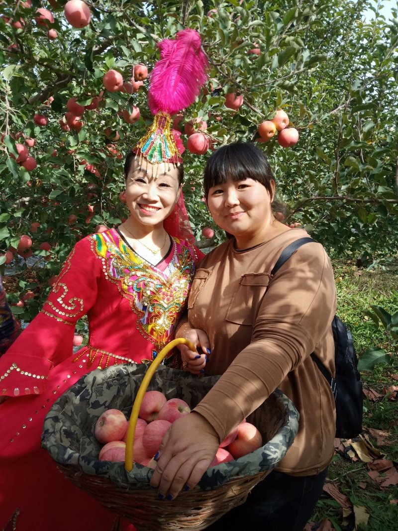 阿克苏冰糖心苹果专业代办整车代发2022年最新报价，