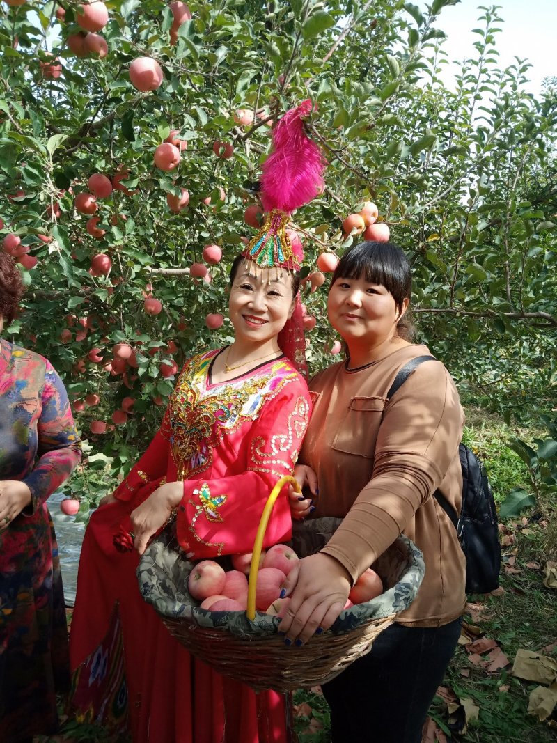 阿克苏冰糖心苹果专业代办整车代发2022年最新报价，