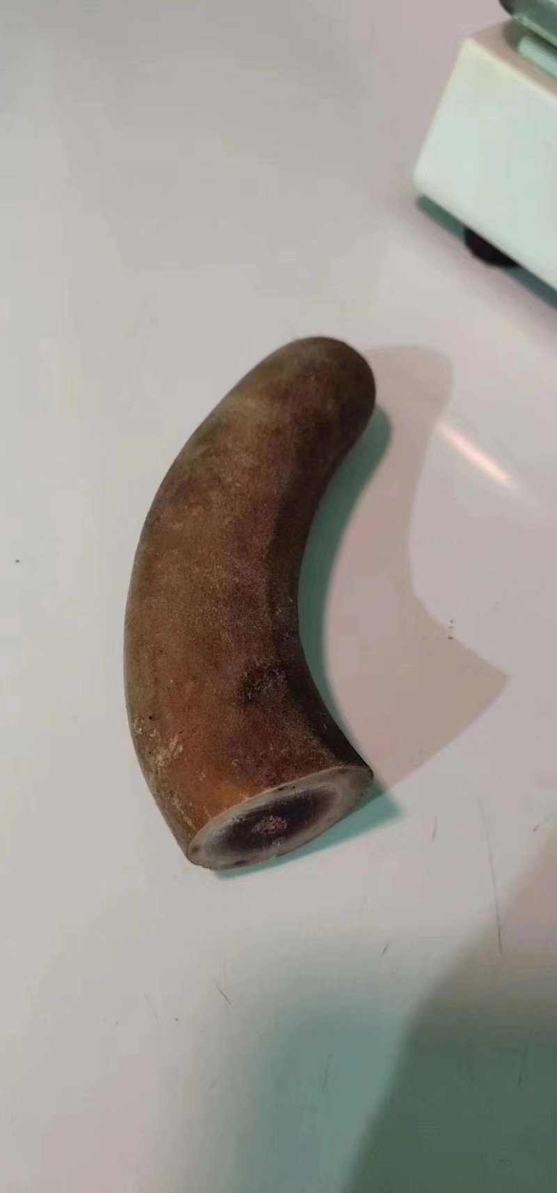 新鲜鹿茸头特别嫩，100克/袋连刀切，量大价优