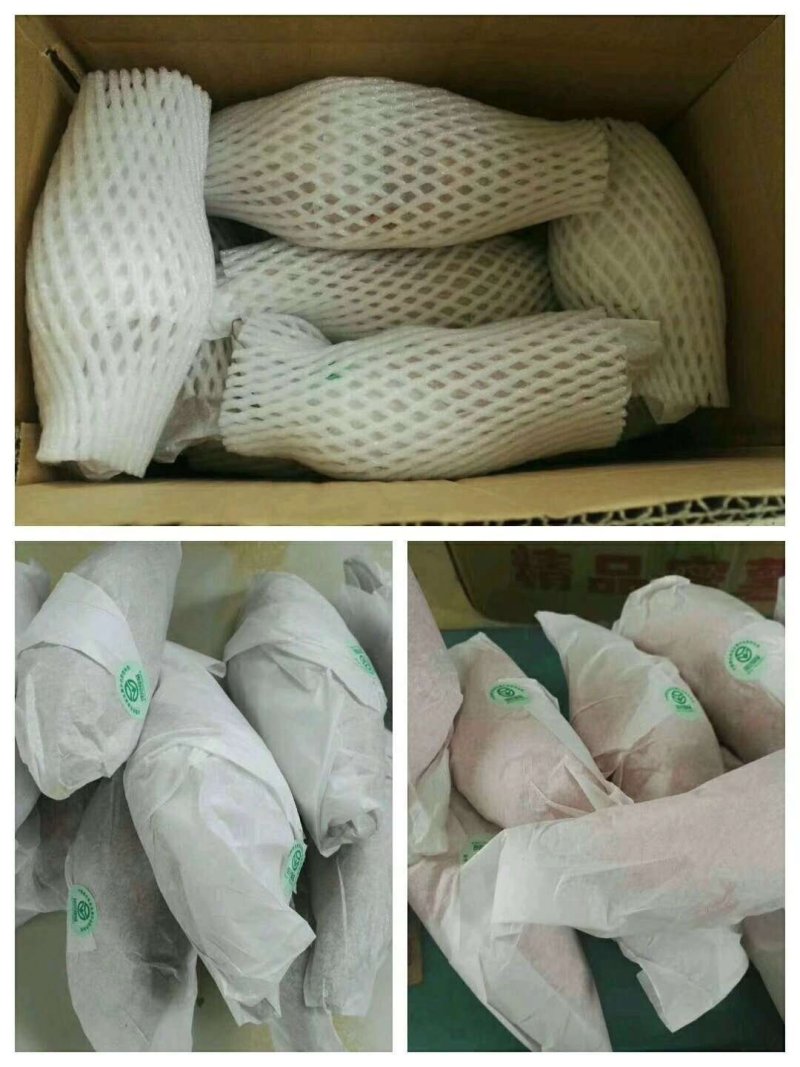 烟薯25，烤红薯，蜜薯基地直发价格优惠电商批发欢迎来电