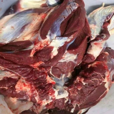 鹿场直销新鲜鹿肉梅花鹿肉速冻保鲜发货5斤包邮