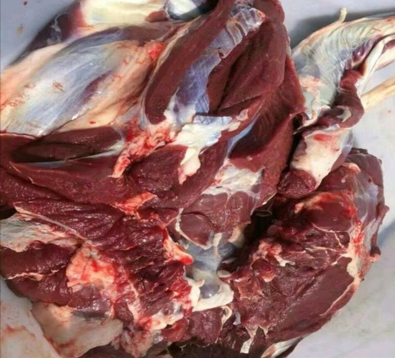 鹿场直销新鲜鹿肉梅花鹿肉速冻保鲜发货5斤包邮