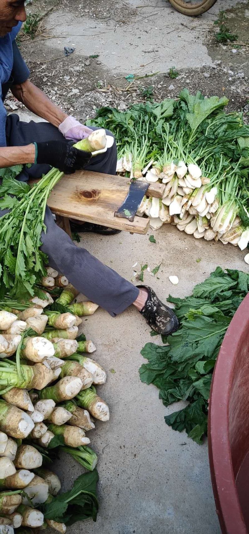 农家头菜干土特产广西