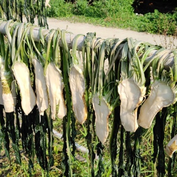 农家头菜干土特产广西
