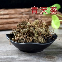 青天葵正品野生独叶莲草半边伞开散装一斤包邮