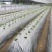 银黑地膜10斤20斤地膜质量更厚使用时间更长除草效果更好