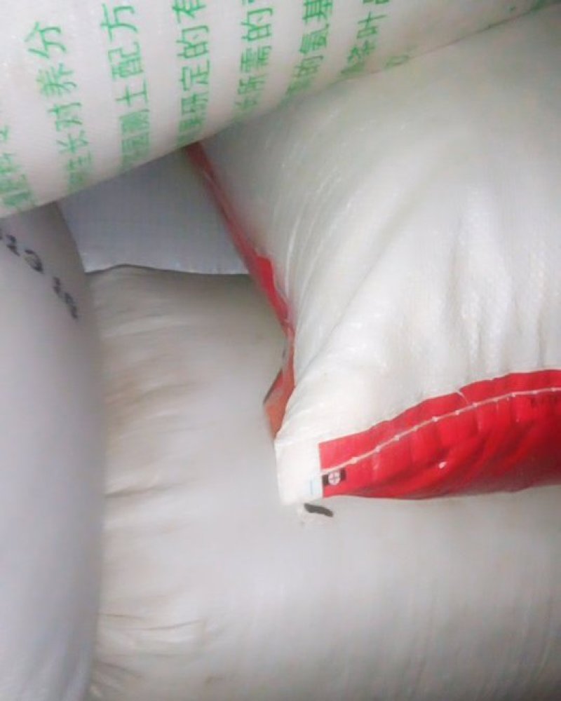 贵州黑糯米