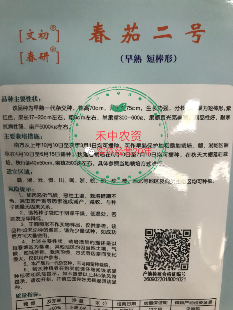 文初春茄二号/六号茄子种子早熟荷包圆茄青底青肉