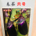 文初春茄二号/六号茄子种子早熟荷包圆茄青底青肉