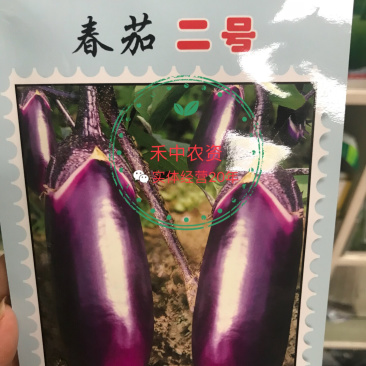 文初春茄二号/六号茄子种子早熟荷包圆茄青底青肉