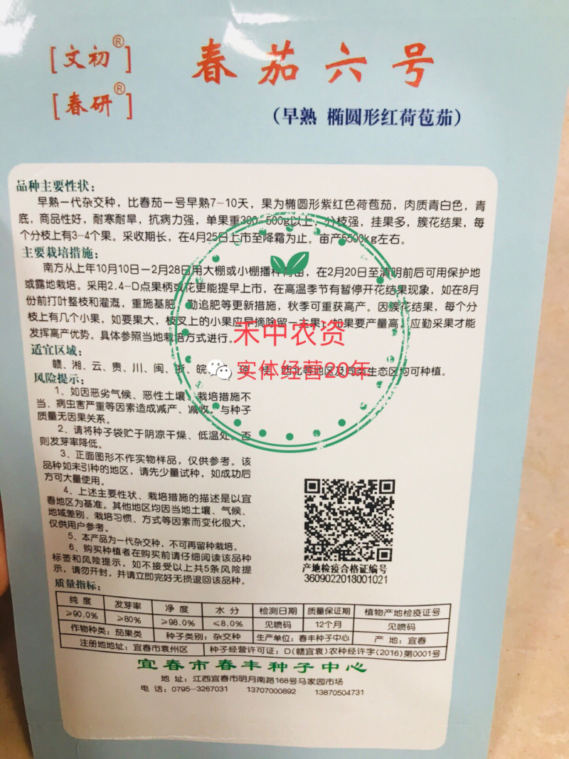 文初春茄二号/六号茄子种子早熟荷包圆茄青底青肉