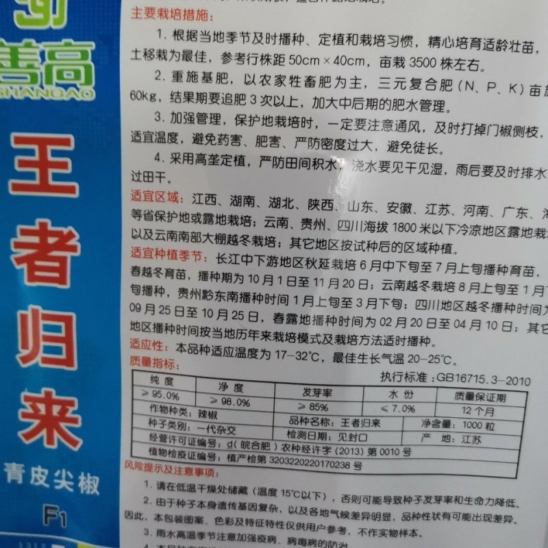 王者归来辣椒种子杂交青皮尖椒大粗长牛角形高产耐湿热中早熟