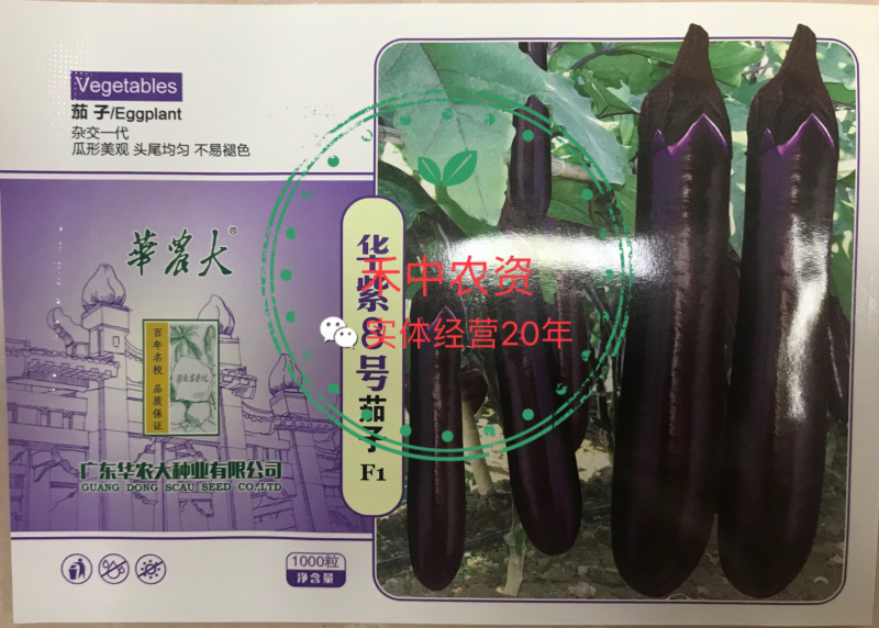 华紫8号茄子种子高产耐热耐寒果皮光亮烧烤茄