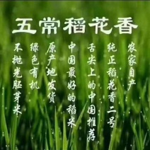 东北大米