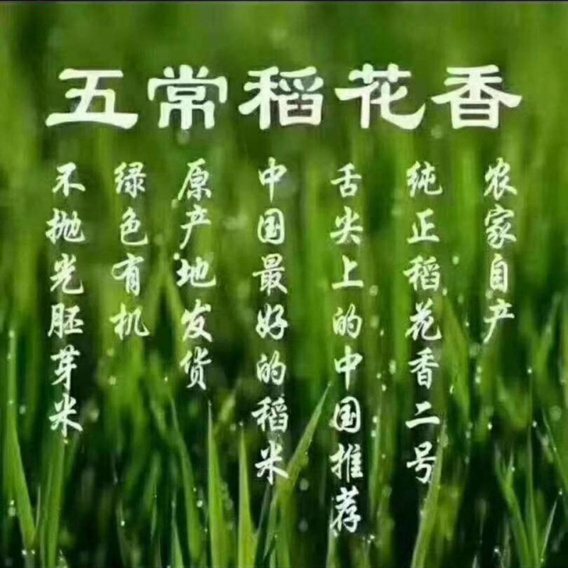 东北大米