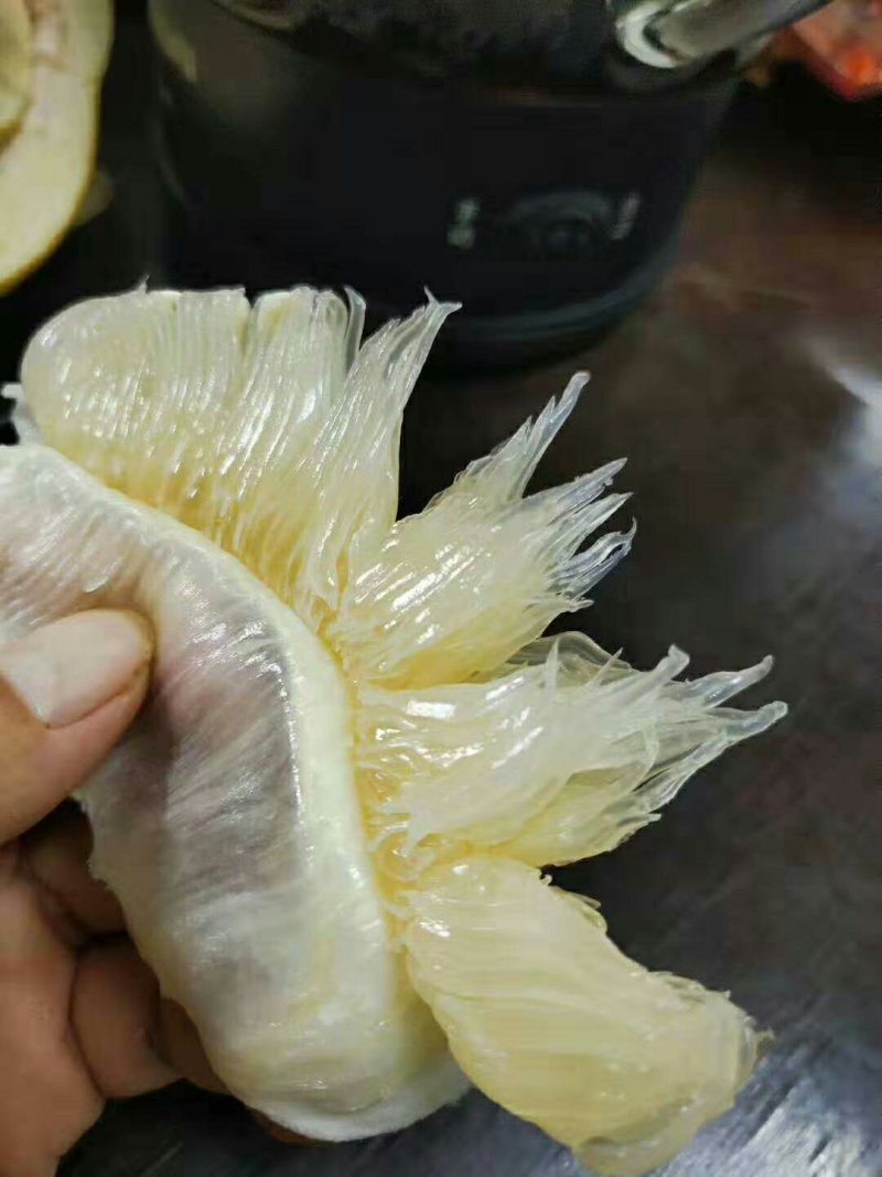 广西容县沙田柚大量批发零售