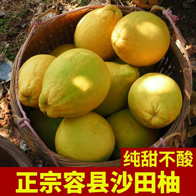 【纯甜】正宗广西容县沙田柚10斤/5斤/白肉柚子批发新鲜