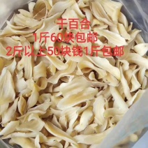 龙牙百合