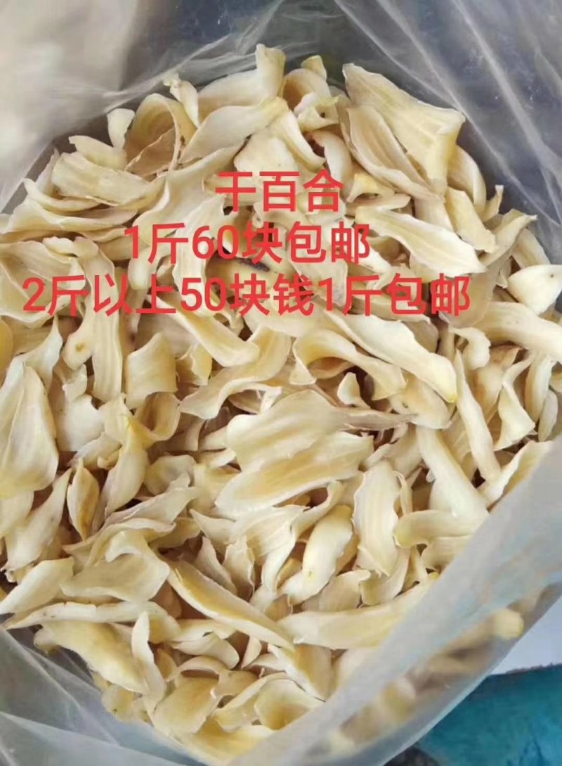 龙牙百合