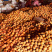 柿子，牛心柿，砀山牛心柿子大量上市了，随到随收。