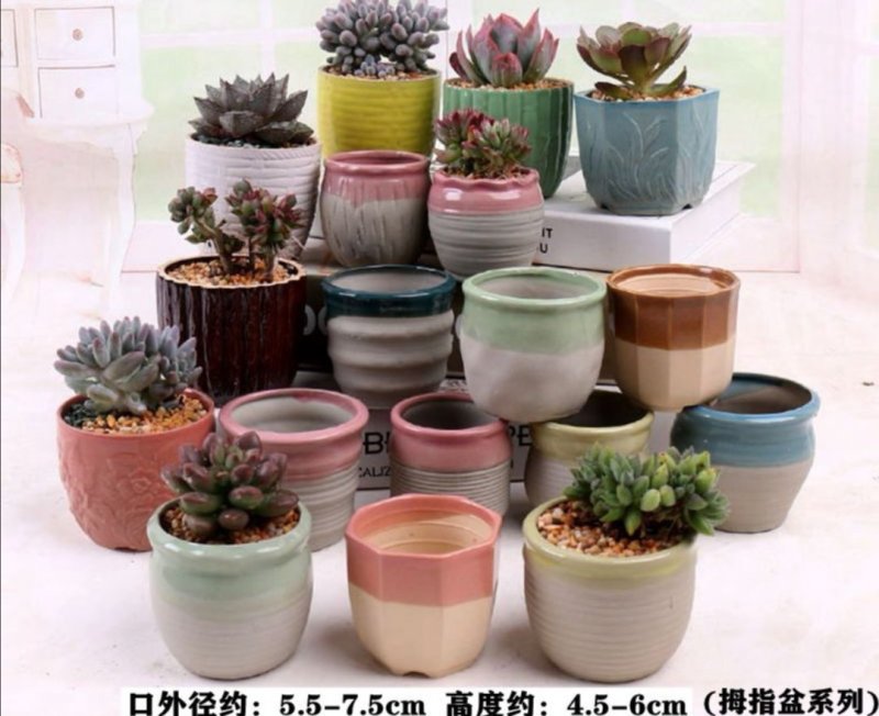 多肉花盆陶瓷批发大号粗陶陶瓷盆器简约素烧紫砂创意小花盆栽