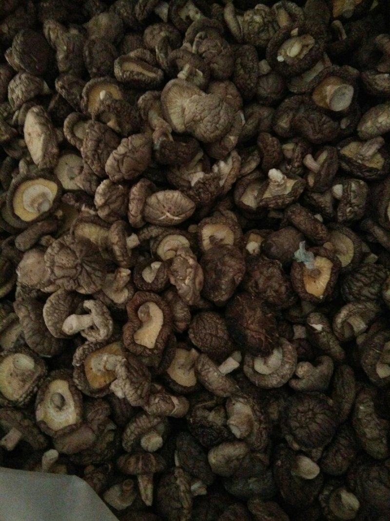 河南内乡山城小镇干香菇，菇乡菇香，产区直供，放心购。