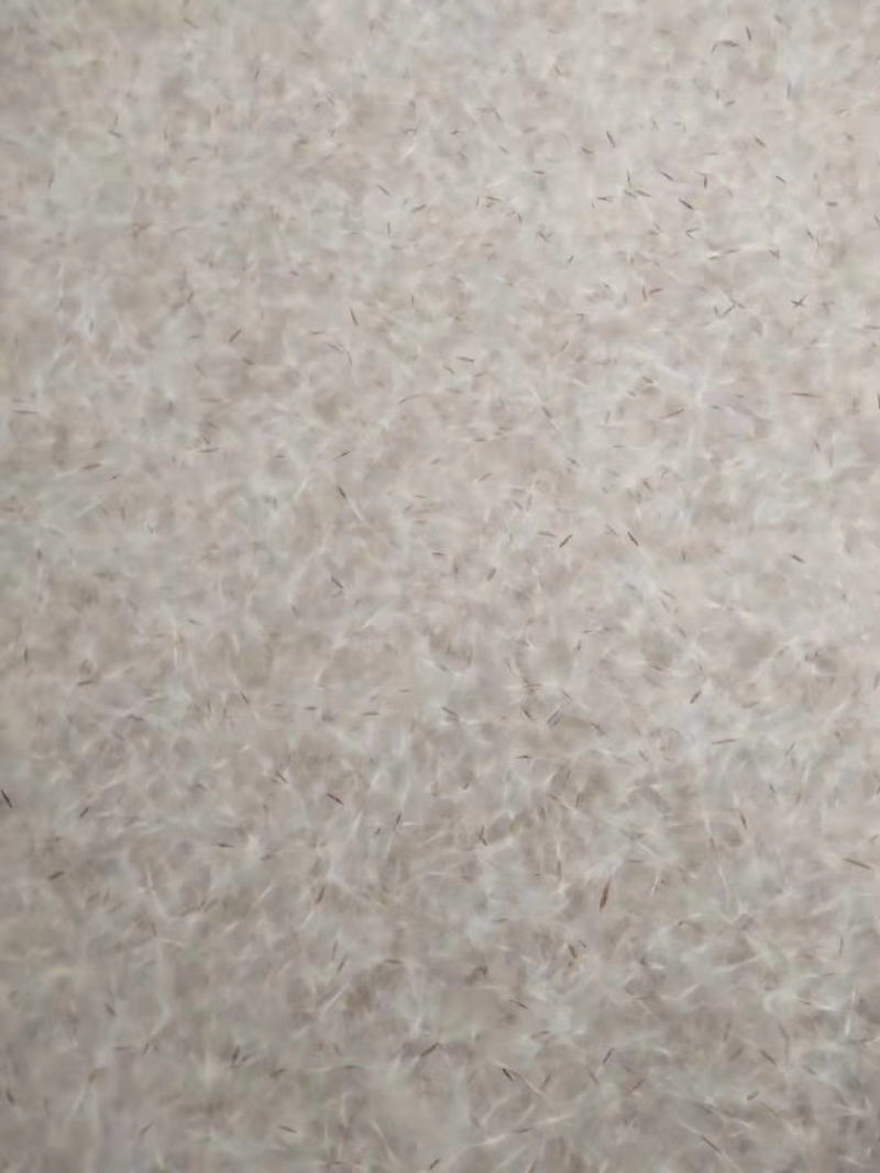 楸树种