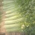 安徽香芹